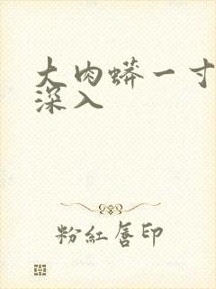 大肉蟒一寸寸地深入