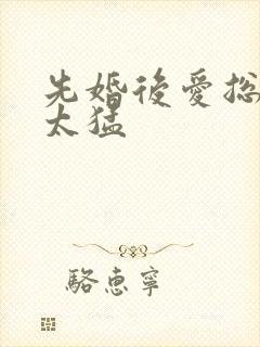 先婚后爱总裁别太猛