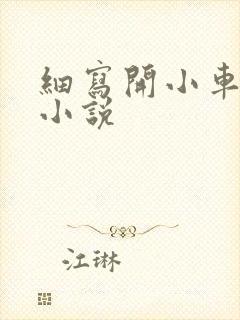 细写开小车车的小说