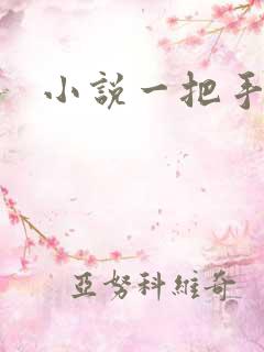 小说一把手
