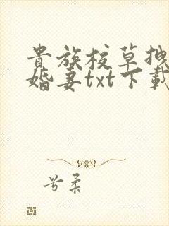 贵族校草拽拽未婚妻txt下载