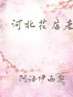 河北花店老板娘
