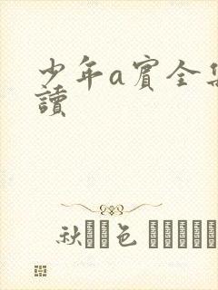 少年a宾全集阅读