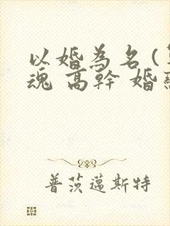 以婚为名 (军魂 高干 婚恋)