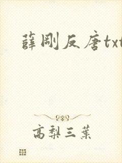 薛刚反唐txt