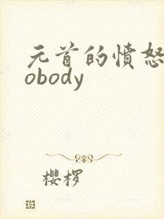 元首的愤怒之nobody