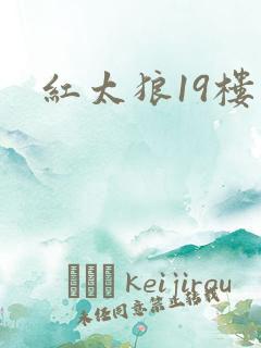 红太狼19楼