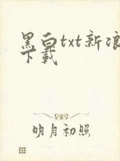 黑白txt新浪下载