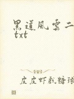 黑道风云二十年 txt