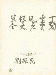 草根风云丁长生全文免费阅读