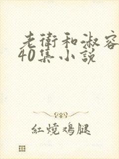 老卫和淑容1-40集小说