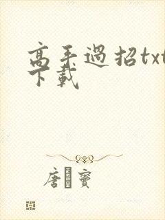 高手过招txt下载