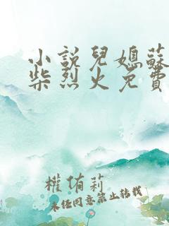 小说儿媳苏玥干柴烈火免费阅读