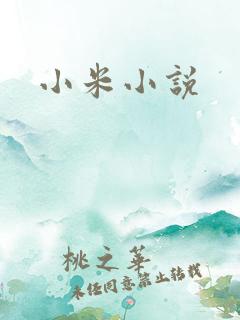小米小说