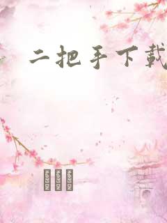 二把手下载