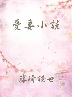 爱妻小说