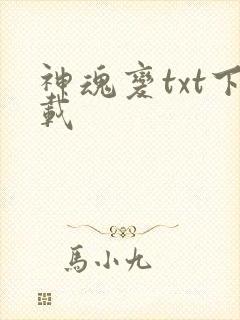 神魂变txt下载
