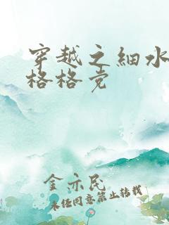 穿越之细水长流格格党