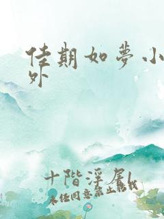 佳期如梦小说番外