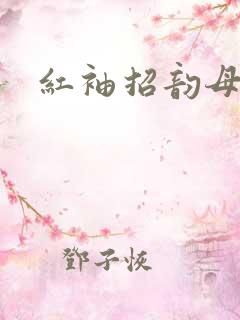 红袖招韵母攻略