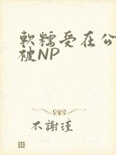 软糯受在公交车被NP