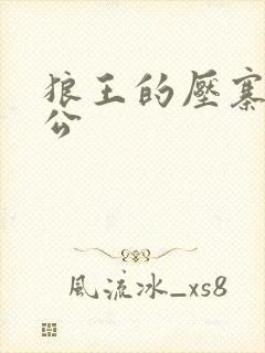 狼王的压寨小相公