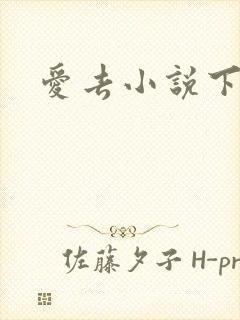 爱去小说下载网