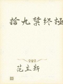 拾九禁终极直播