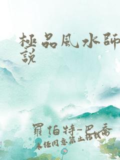极品风水师 小说