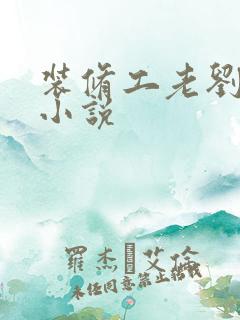 装修工老刘林雪小说