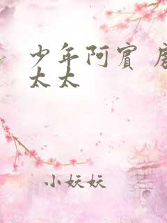 少年阿宾 房东太太