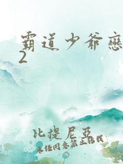 霸道少爷恋上我2