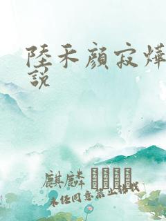 陆禾颜寂烨霖小说