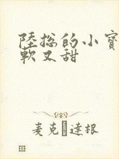 陆总的小宝贝又软又甜