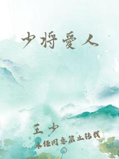 少将爱人
