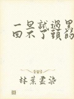 一旦试过黑人就回不了头的英文