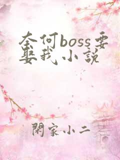 奈何boss要娶我小说