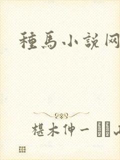 种马小说网