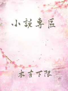 小说专区