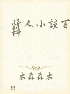 情人小说百度百科