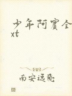 少年阿宾全集txt