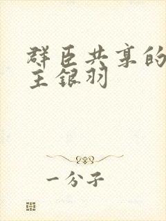 群臣共享的小公主银羽