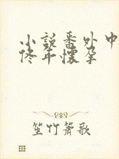 小说番外中结局佟年怀孕