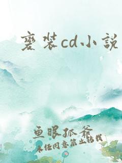 变装cd小说