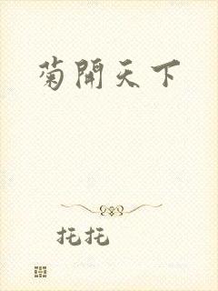 菊开天下