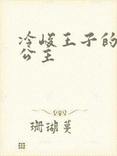 冷峻王子的完美公主