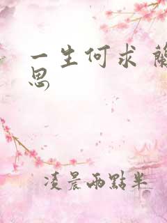 一生何求 兰思思