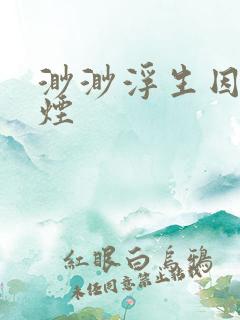 渺渺浮生因你成烟