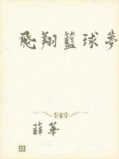 飞翔篮球梦下载