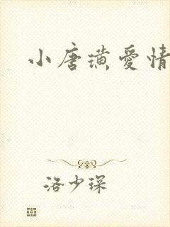 小唐璜爱情历史